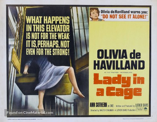 Lady in a Cage - Movie Poster