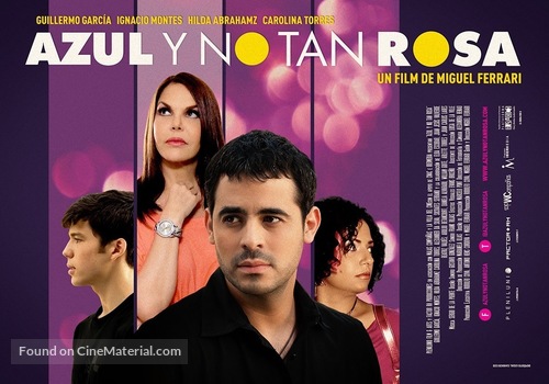 Azul y no tan rosa - Venezuelan Movie Poster