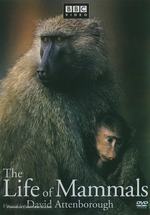 &quot;The Life of Mammals&quot; - DVD movie cover