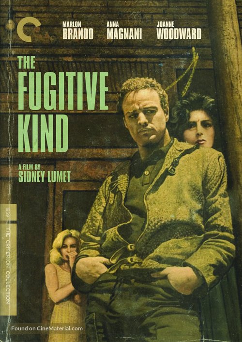 The Fugitive Kind - DVD movie cover