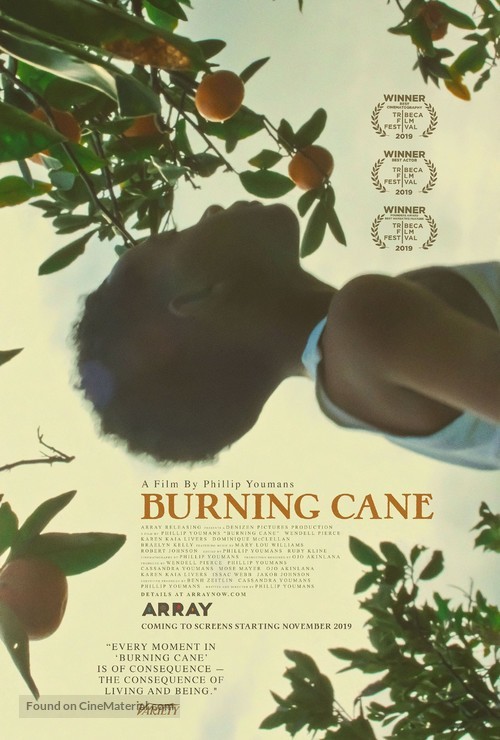 Burning Cane - Movie Poster