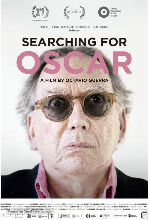 En busca del &Oacute;scar - International Movie Poster