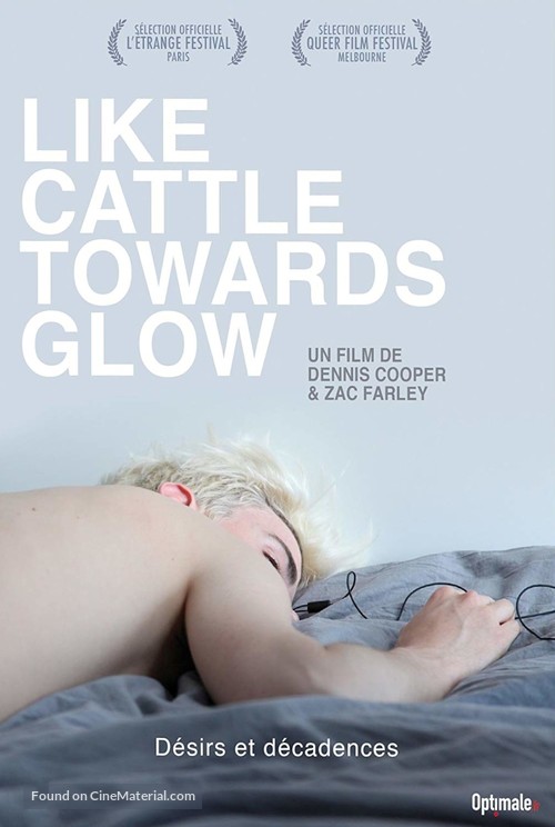 Like Cattle Towards Glow - French DVD movie cover