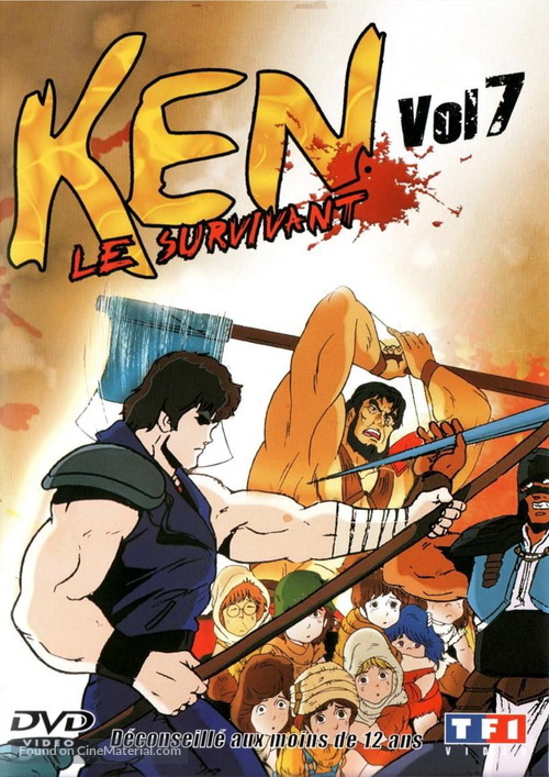 &quot;Hokuto no Ken&quot; - French DVD movie cover