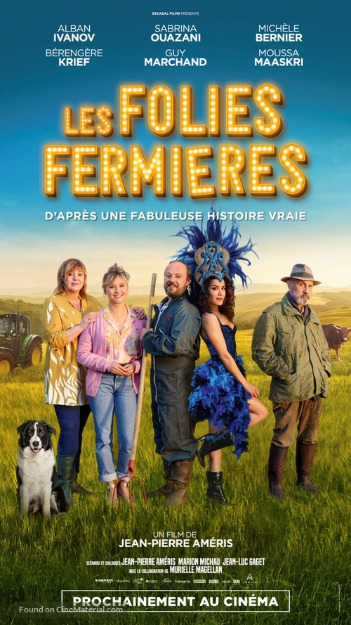 Les Folies fermi&egrave;res - French Movie Poster