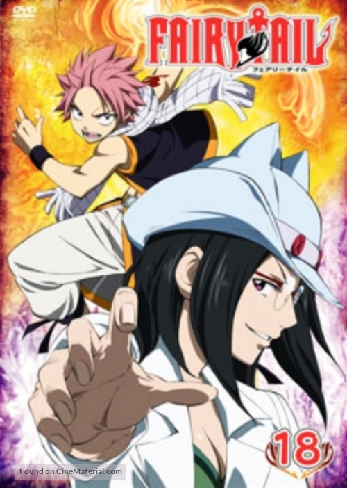 &quot;Fairy Tail&quot; - Japanese DVD movie cover