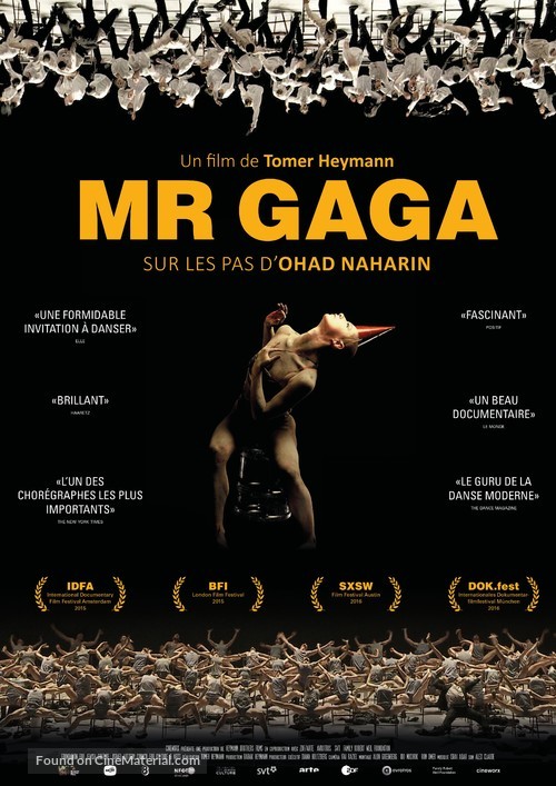 Mr. Gaga - Swiss Movie Poster