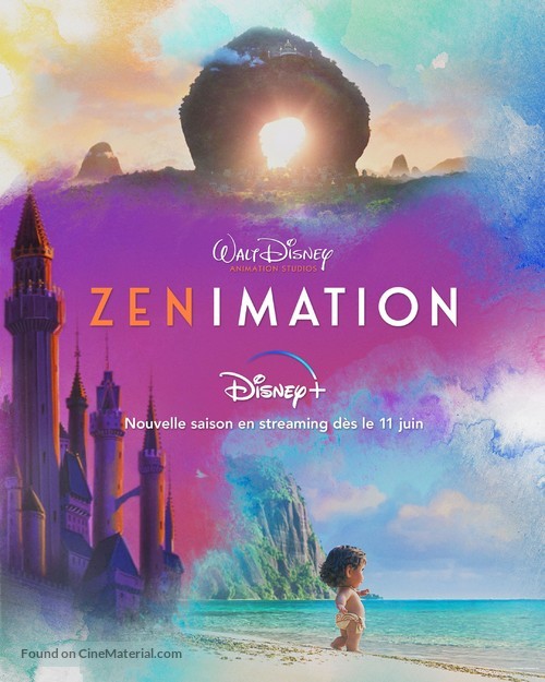 &quot;Zenimation&quot; - French Movie Poster