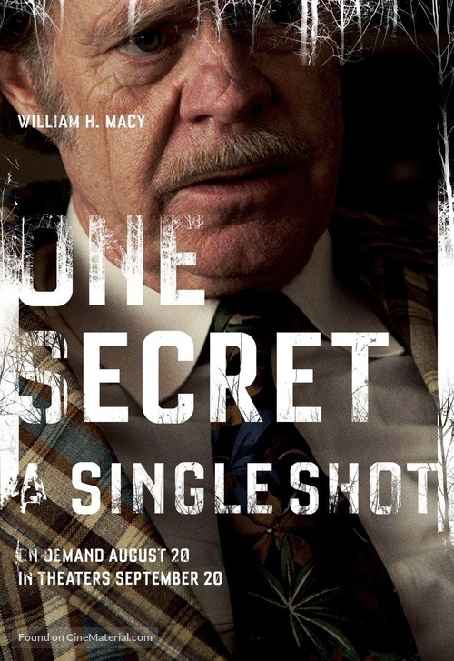 A Single Shot - Movie Poster