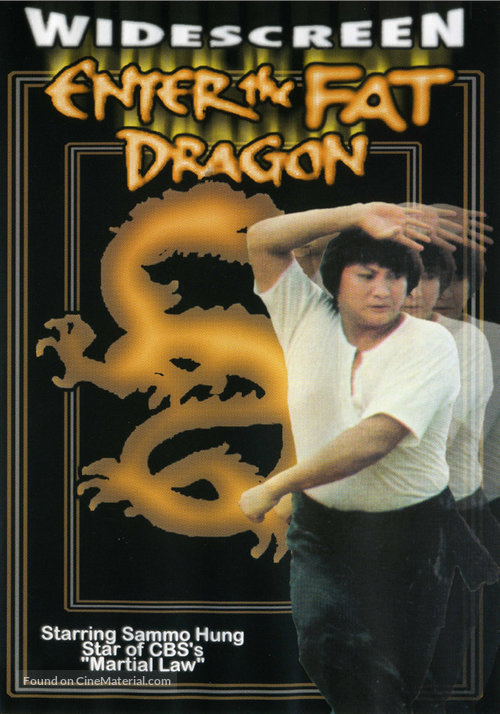 Fei Lung gwoh gong - DVD movie cover