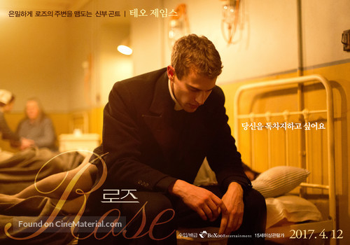 The Secret Scripture - South Korean Movie Poster