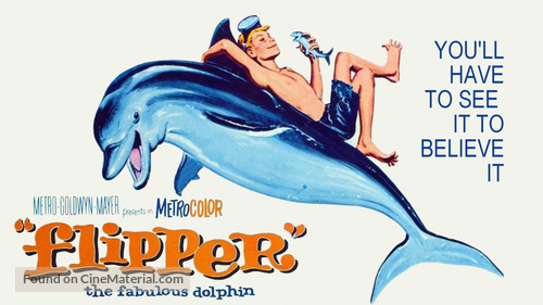 Flipper - Movie Poster