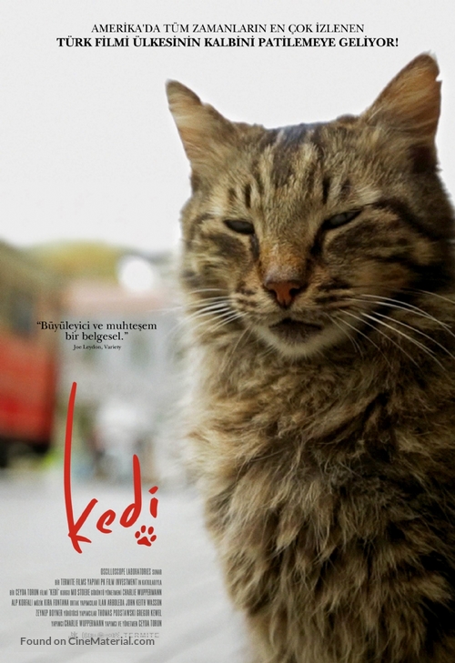 Kedi - Turkish Movie Poster