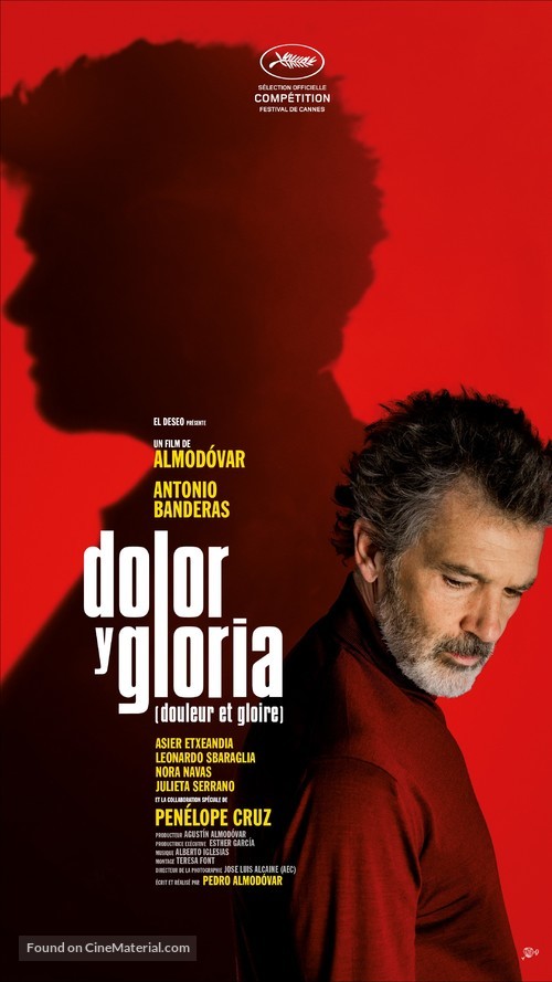 Dolor y gloria - Swiss Movie Poster