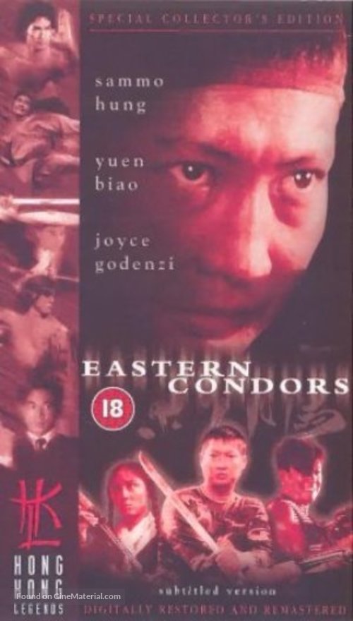 Dung fong tuk ying - British VHS movie cover