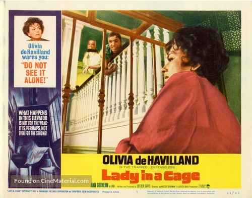 Lady in a Cage - poster