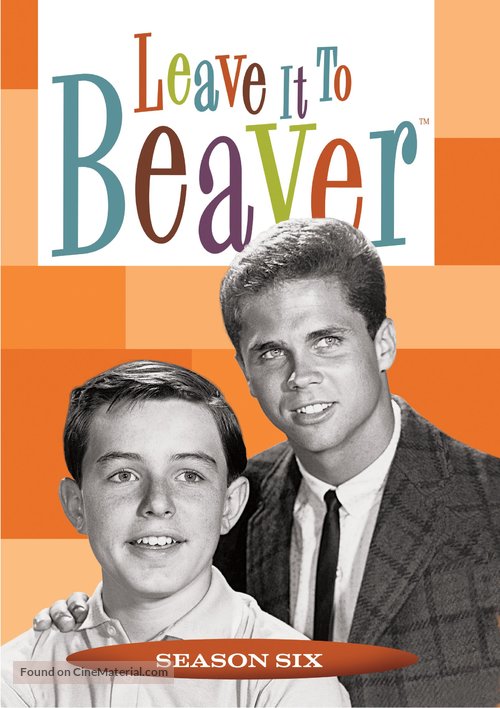 &quot;Leave It to Beaver&quot; - DVD movie cover