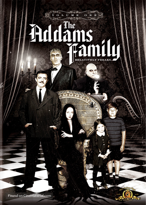 &quot;The Addams Family&quot; - DVD movie cover