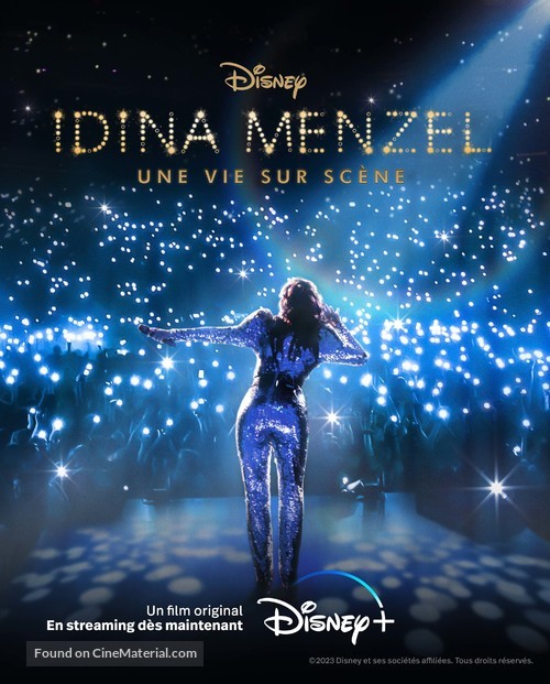 Idina Menzel: Which Way to the Stage? - French Movie Poster