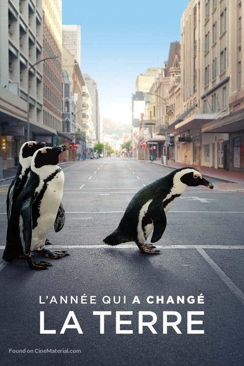 The Year Earth Changed - French Movie Cover