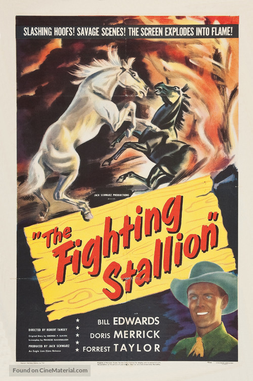 The Fighting Stallion - Movie Poster
