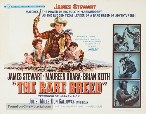 The Rare Breed - Movie Poster