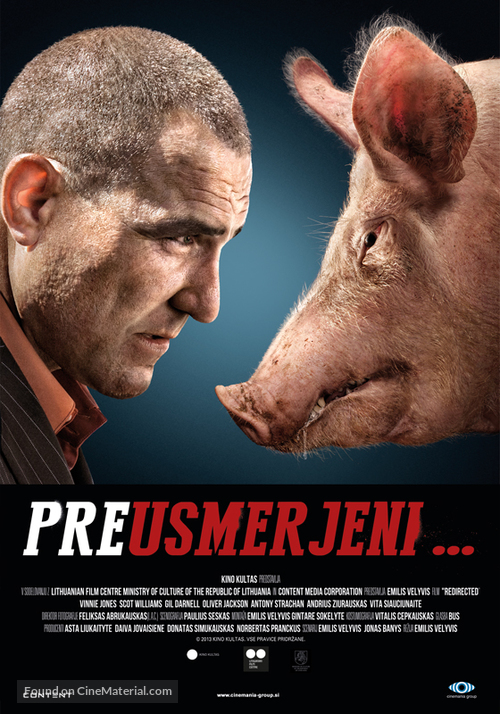 Redirected - Slovenian Movie Poster