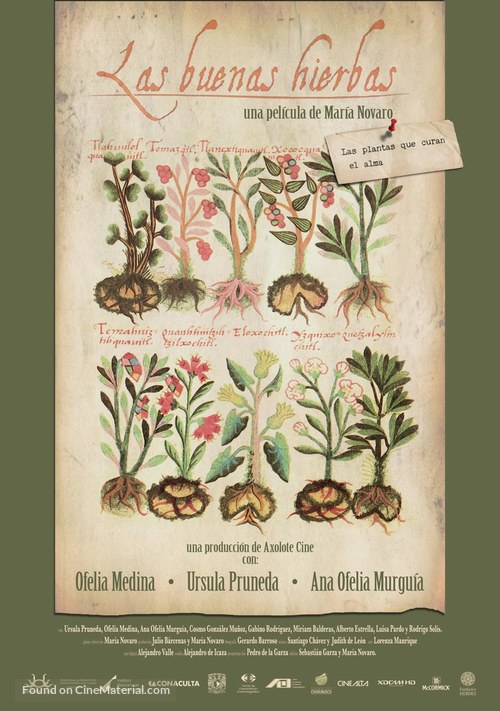 Las buenas hierbas - Mexican Movie Poster