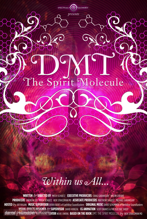 DMT: The Spirit Molecule - Movie Poster