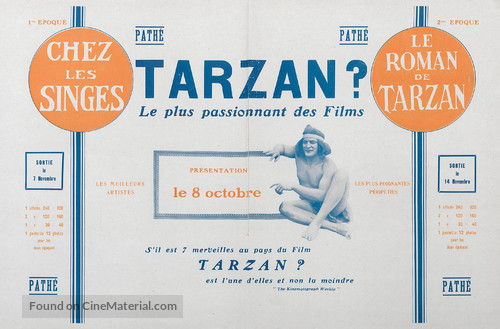 Tarzan of the Apes - French poster