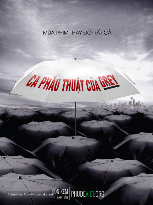 &quot;Grey&#039;s Anatomy&quot; - Vietnamese Movie Poster