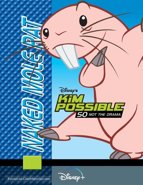 &quot;Kim Possible&quot; - Movie Poster