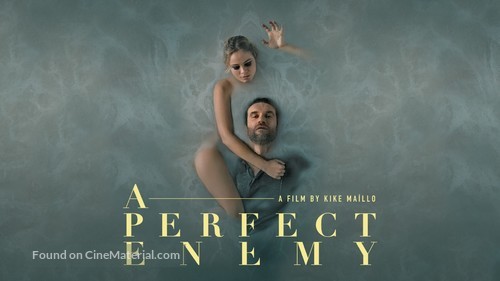 A Perfect Enemy - International Video on demand movie cover