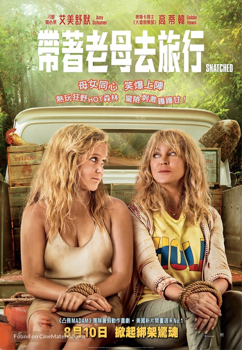 Snatched - Hong Kong Movie Poster