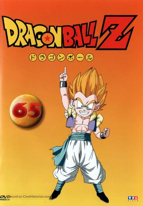 &quot;Dragon Ball Z&quot; - French DVD movie cover