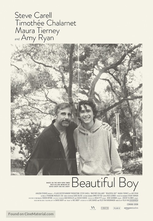 Beautiful Boy - Canadian Movie Poster