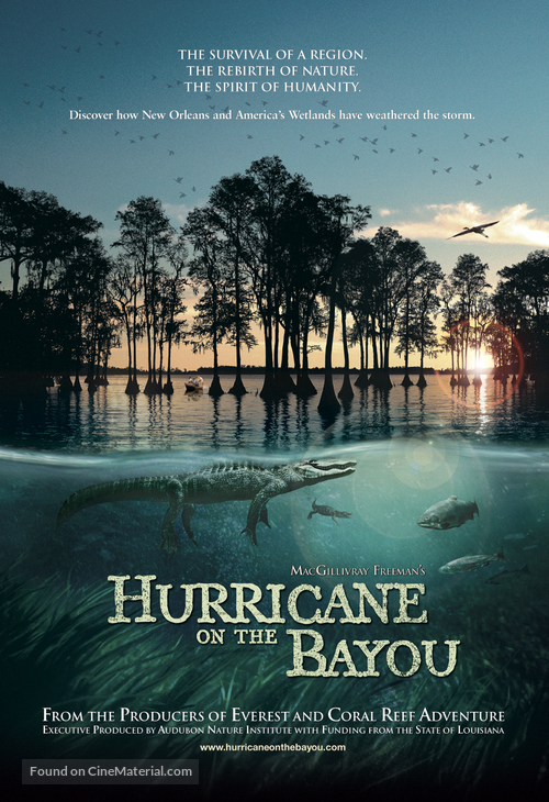 Hurricane on the Bayou - Movie Poster