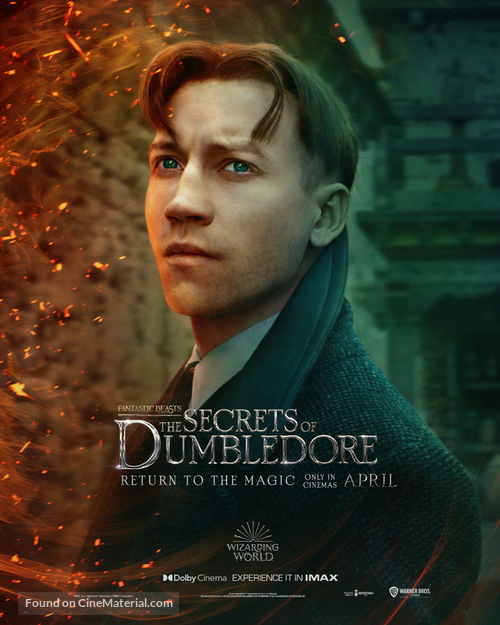 Fantastic Beasts: The Secrets of Dumbledore - International Movie Poster