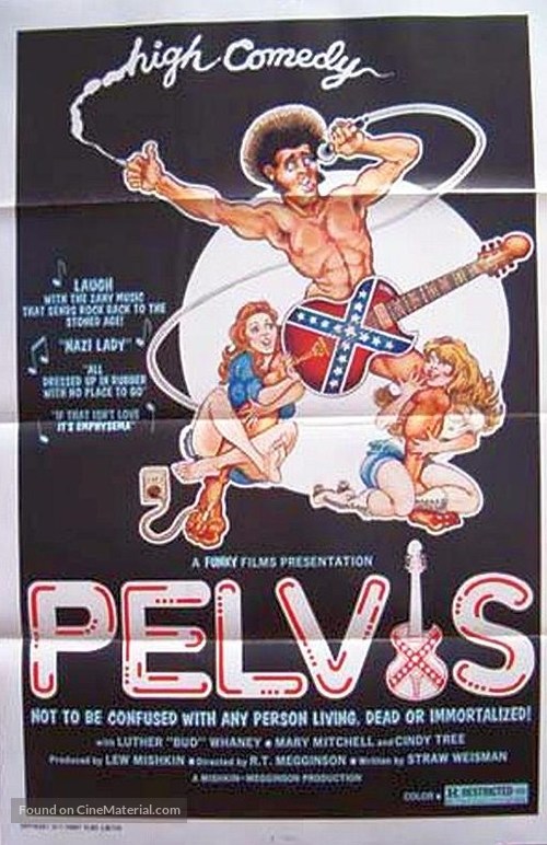 Pelvis - Movie Poster