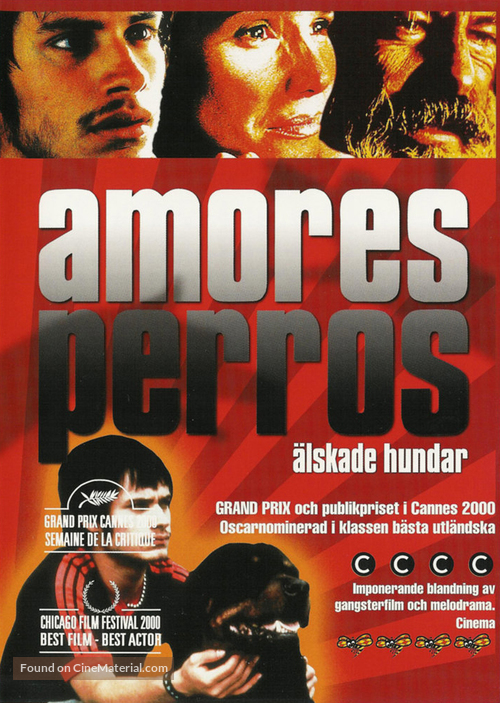 Amores Perros - Swedish Movie Cover