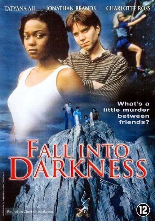 Fall Into Darkness - DVD movie cover