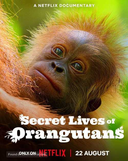 Secret Lives of Orangutans - British Movie Poster