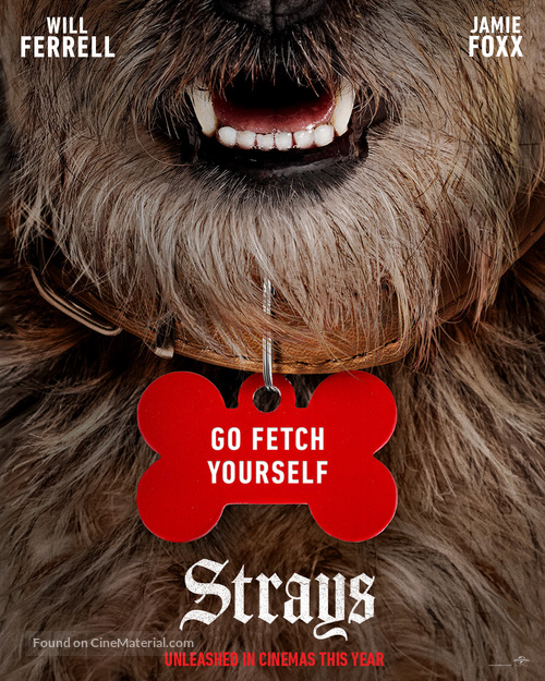 Strays - Irish Movie Poster