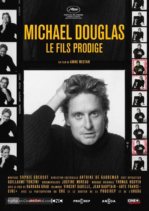 Michael Douglas, le fils prodige - French Movie Poster