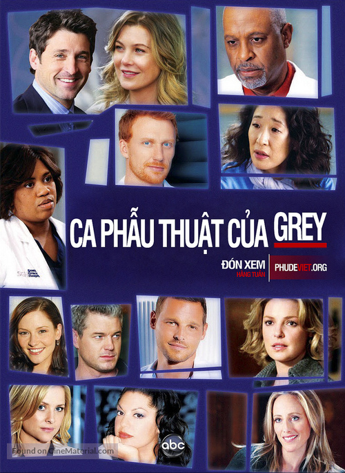 &quot;Grey&#039;s Anatomy&quot; - Vietnamese Movie Poster