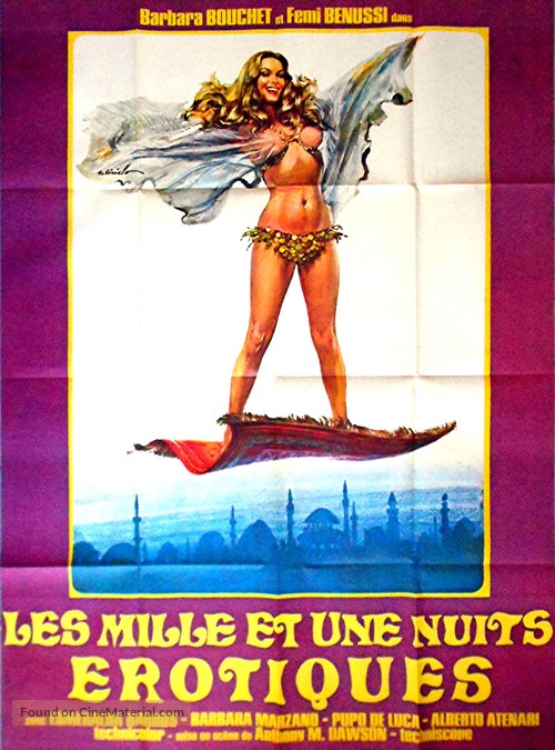 Finalmente... le mille e una notte - French Movie Poster