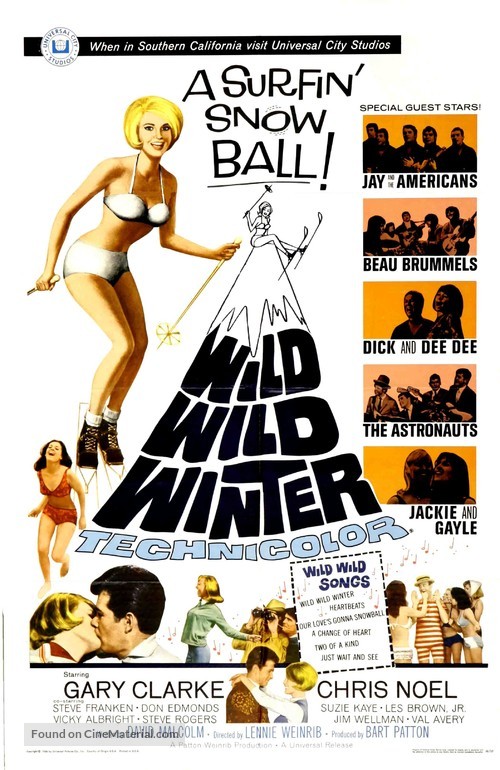 Wild Wild Winter - Movie Poster