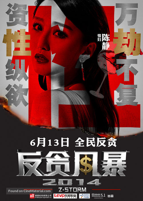 Z Storm - Chinese Movie Poster