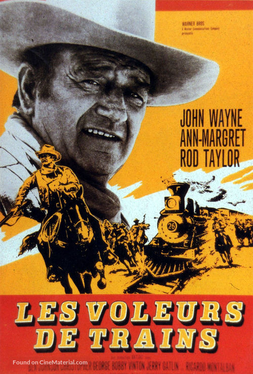 The Train Robbers - French Movie Poster