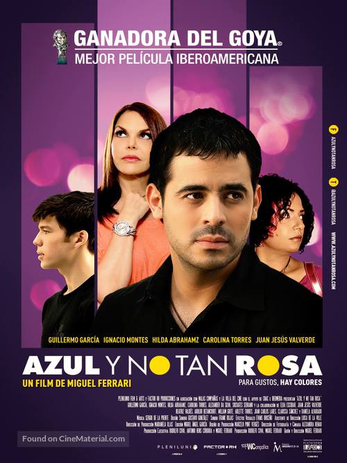 Azul y no tan rosa - Spanish Movie Poster